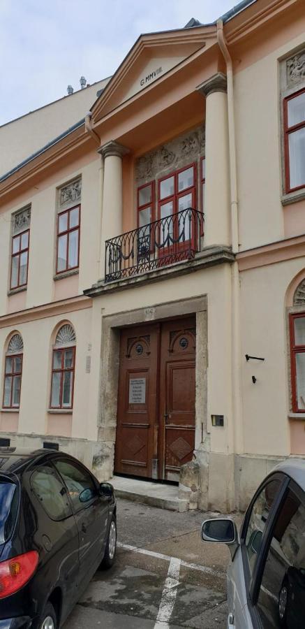 Enjoy 110Qm Apartment Im Historischen Zentrum ショプロン エクステリア 写真