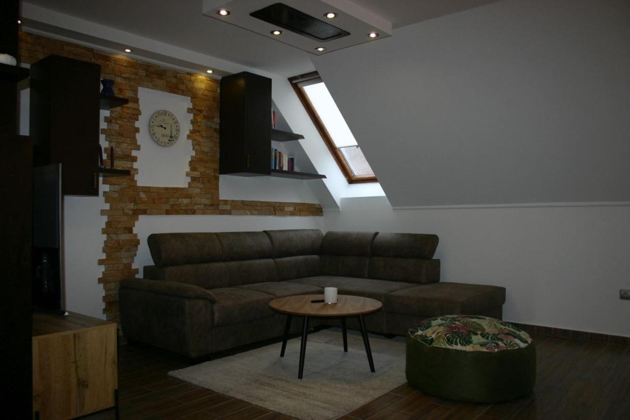 Enjoy 110Qm Apartment Im Historischen Zentrum ショプロン エクステリア 写真